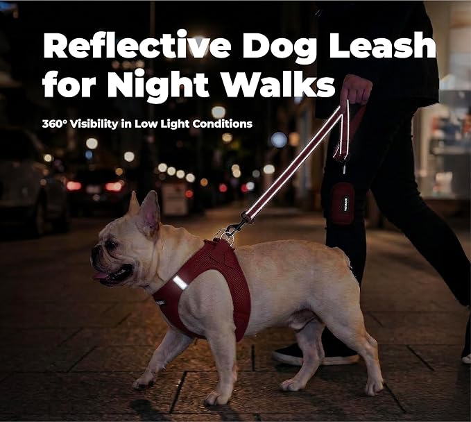 Best Pet Supplies Voyager Reflective Dog Leash or Collar with Neoprene Handle, for Small, Medium, and Large Breed Puppies, Cute and Heavy Duty for Walking, Running and Training - Red (Leash), M