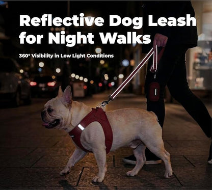 Best Pet Supplies Voyager Reflective Dog Leash or Collar with Neoprene Handle, for Small, Medium, and Large Breed Puppies, Cute and Heavy Duty for Walking, Running and Training - Red (Leash), L