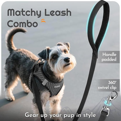 Eagloo Small Dog Harness and Leash Set, Step in Puppy Vest with Breathable Soft Mesh, Walking Reflective Pet Harness for Medium Small Dogs, Gray, L