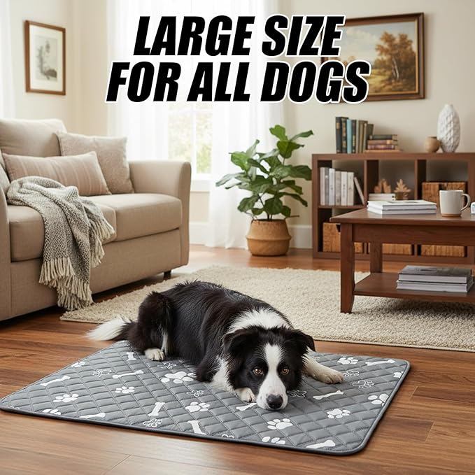 Puppy Pad with Pheromones, Training Pads for Dogs, 30x30cm Blue Bone Design, Includes 3 Random Color Bell Balls, Ideal for Puppy Potty Training, Senior Pet Care, and Travel