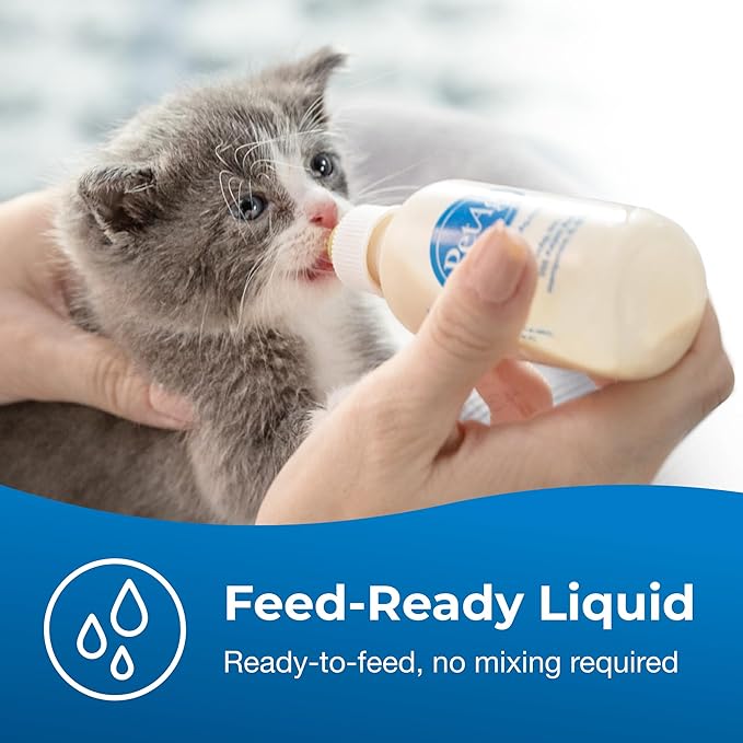 PetAg KMR Kitten Milk Replacer Liquid - 16 oz - Ready-to-Feed Formula with Vitamins for Newborn Kittens to 1 Year - Easy to Digest