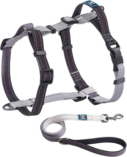 Roses&Poetry Puppy Dog Harness and Leash Set, No Pull Dog Harness Adjustable Reflective, Dog Halter Harnesses Comfort Padded Handle, Pet Harness for Training Outdoor Walking（BlackGray-M