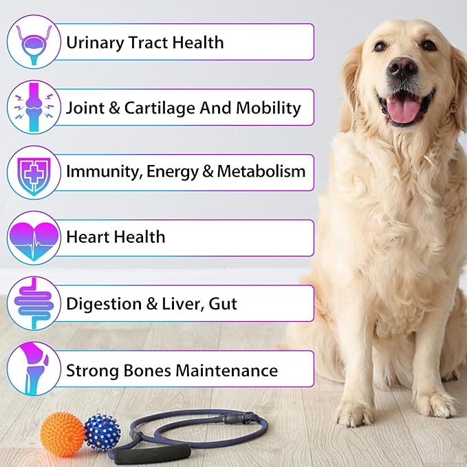 Dog Multivitamin,15 in 1 Dog Multivitamin Liquid Drops Supplements, Dog Vitamins for Heart Health, Bones, Joint, Skin & Coat, Bladder, Immune System Support 60ml