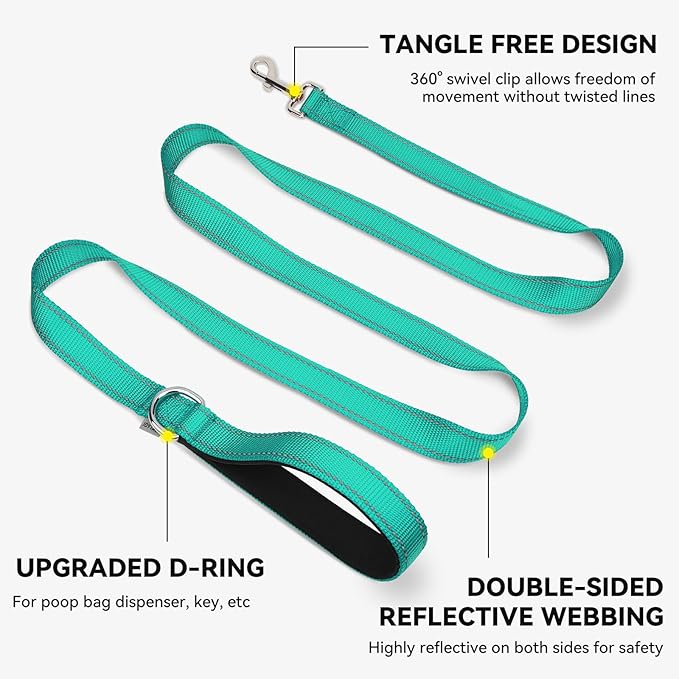 Joytale Dog Leash, 5 FT Double-Sided Reflective, Padded Handle Nylon Heavy Duty Leashes for Medium & Large Dogs Walking, Teal