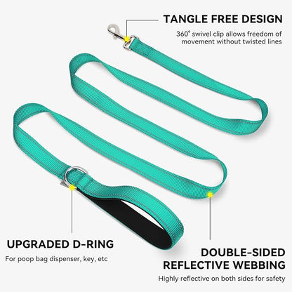Joytale Dog Leash, 4 FT Double-Sided Reflective, Padded Handle Nylon Heavy Duty Leashes for Small Dogs Walking, Teal