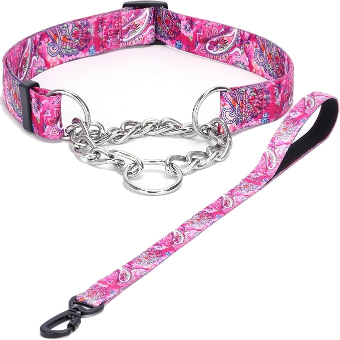 Martingale Dog Collar and Leash Set, Stainless Steel Chain, No Pull Training Collar with Flower Design, for Small, Medium, Large Dogs (NO30, S)