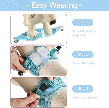 Dog Harness for Small Dogs and Leash Set, Honeycomb Grid, Reflective Lightweight Harness & Anti-Twist Pet Lead Multi Color, Size: XS-S-M. (XS, Sky Blue)