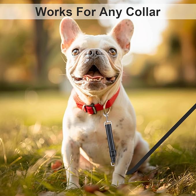 ElevateTech 2Pcs Dog Collar Safety Clip Adjustable Double Ended Backup Clasp Leash Connector Gentle Leader for Dogs Suitable Dog Harness Small Dogs Collar Walking Running Training Travel (Black)