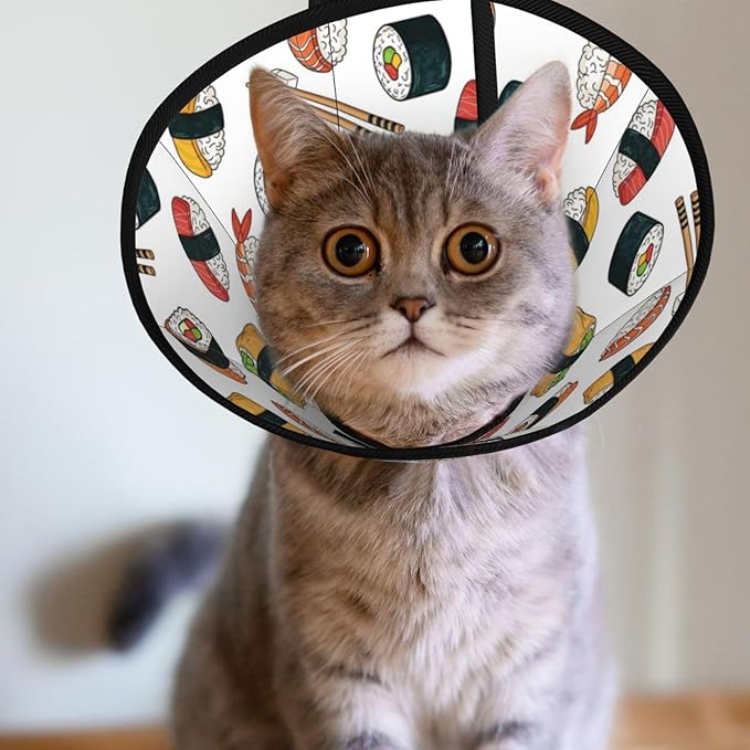 Flexible Soft Dog Cone Collar, Adjustable Recovery Cone for Dogs and Cats After Surgery, Comfy Elizabethan Collar, Sushi