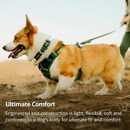 Ruffwear, Front Range Flex Dog Collar, Soft Engineered Knit for Everyday Walks, Lightweight Adjustable with Aluminum V-Ring, Integrated ID Tag Silencer, Quick Release Buckle, Deep Teal, 14"-20"