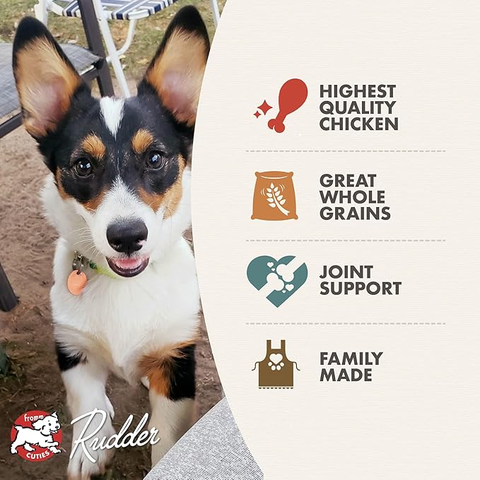 Fromm Classic Puppy Dog Food - Premium Dry Puppy Food for Large, Medium, & Small Breeds - Chicken Recipe - 5 lb