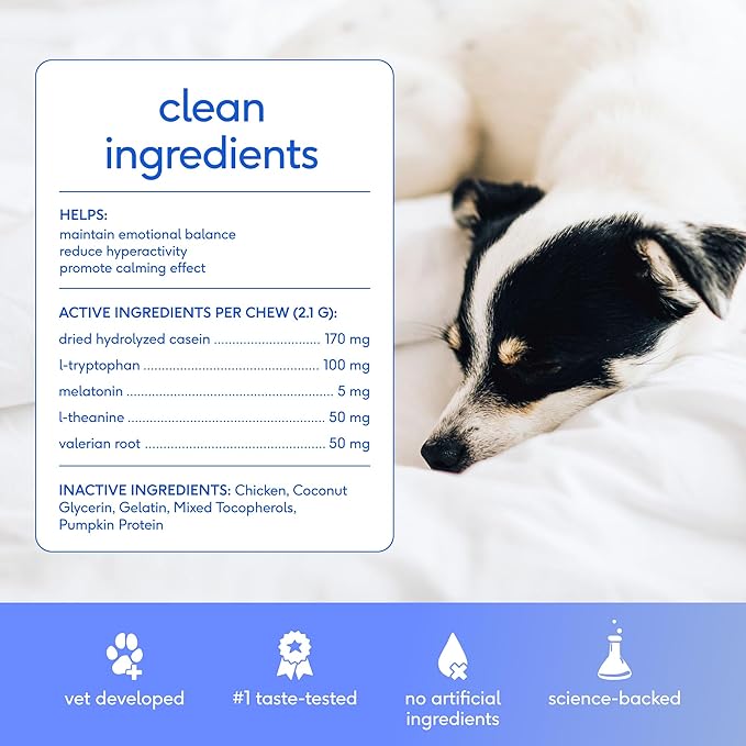 Native Pet Advanced Calming Chews for Dogs Large Breed - Anxiety Relief, Stress, Separation & Sleep Support with Melatonin for Dogs, Hydrolyzed Casein, Valerian Root & L-Tryptophan - 30 Days Supply