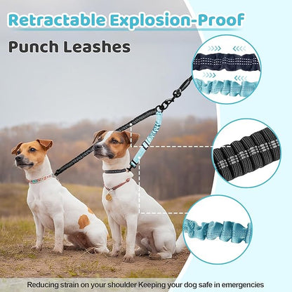 Double Dog Leash - 360°Swivel Tangle Free Splitter Attachment, 1 Rope with Handle, 2 Dogs Multi-Functional Leash, for Outdoor Walk Train Small Medium Large Two Pet, Lake Blue