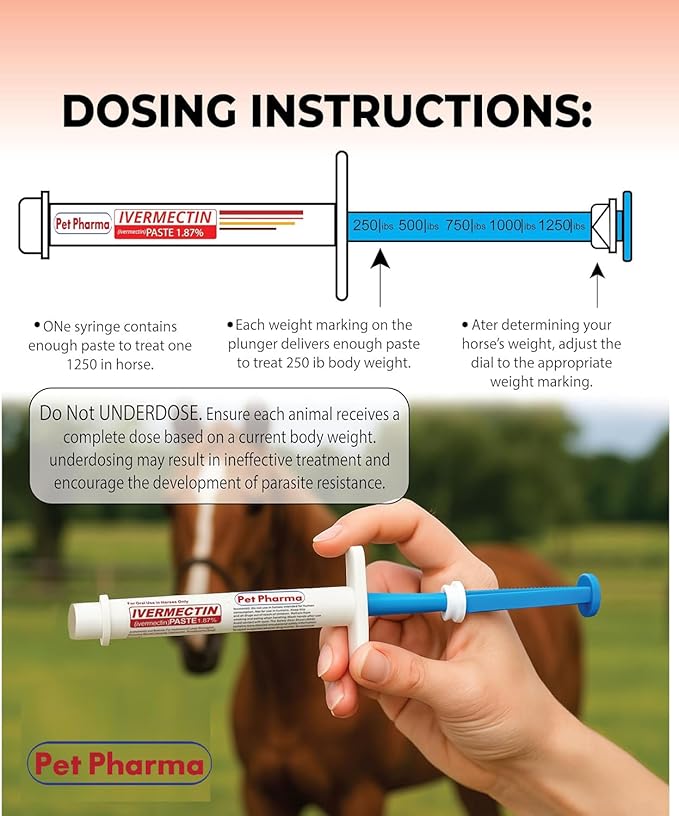 Ivermectin Paste 1.87% Only Use for Horses – Apple Flavor Oral Paste – 6.08g Syringe - Gel Dewormer for Horse - Safe for Equine of All Ages (3 - Pack)