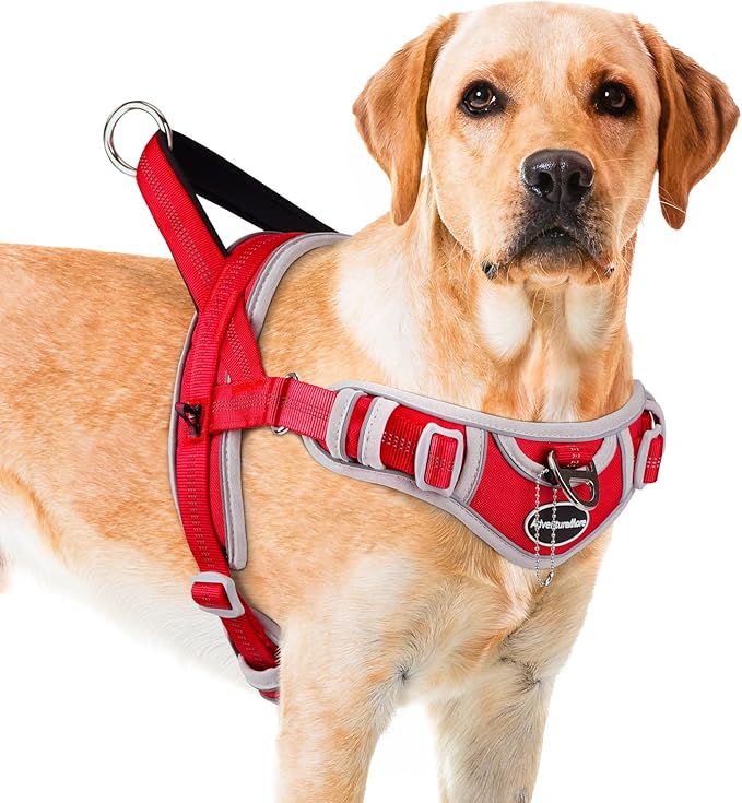 ADVENTUREMORE Dog Harness for Medium Dogs No Pull, Sport Dog Halter Harness Adjustable Reflective Dog Vest Escape Proof Dog Harness with Easy Control Front Clip Handle for Training Walking M Red