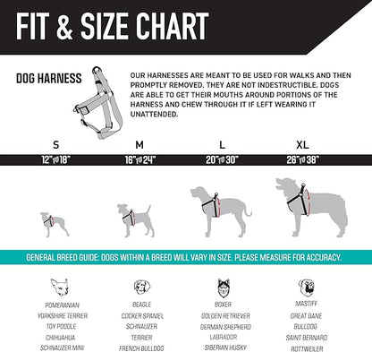 Wolfgang Heavy Duty Adjustable Dog Harness, Pull-Tested for Walking & Training, WesternSky Print, X-Large