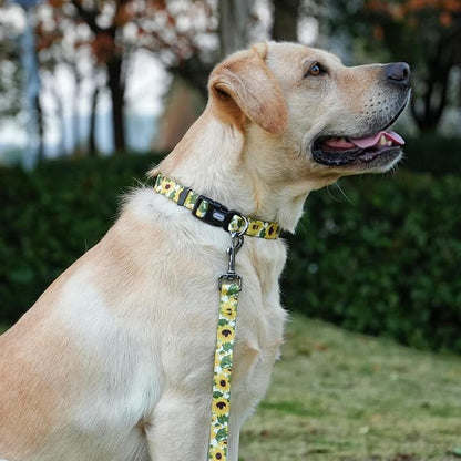 Dog Collar Leash Set, Floral Pattern, 5ft Matching Leash, Polyester Material, 4 for Small Medium Large Dogs.(S, Sunflower)