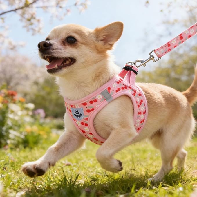 KOOLTAIL Dog Harness for Small Medium Dogs,Dog Harness and Leash Set, Step in No Pull Soft Mesh Padded Adjustable and Reflective Pet Vest Harness Puppy, Plaid Extra Harness for XS S Dogs,Pink Cherry,M