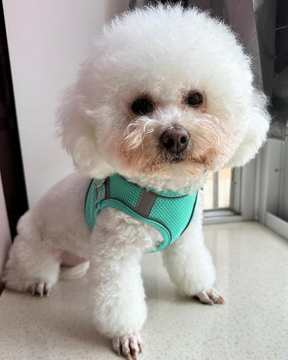 Solmoony Dog Harness for Small Medium Dogs No Pull, Puppy Harness and Leash Set, Puppy Harness, Step in Harness for Small Dogs,mesh Dog Harness. (Green, L)