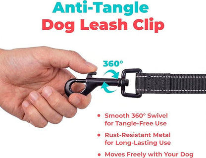 Best Pet Supplies Voyager Reflective Dog Leash or Collar with Neoprene Handle, for Small, Medium, and Large Breed Puppies, Cute and Heavy Duty for Walking, Running and Training - Black (Leash), L