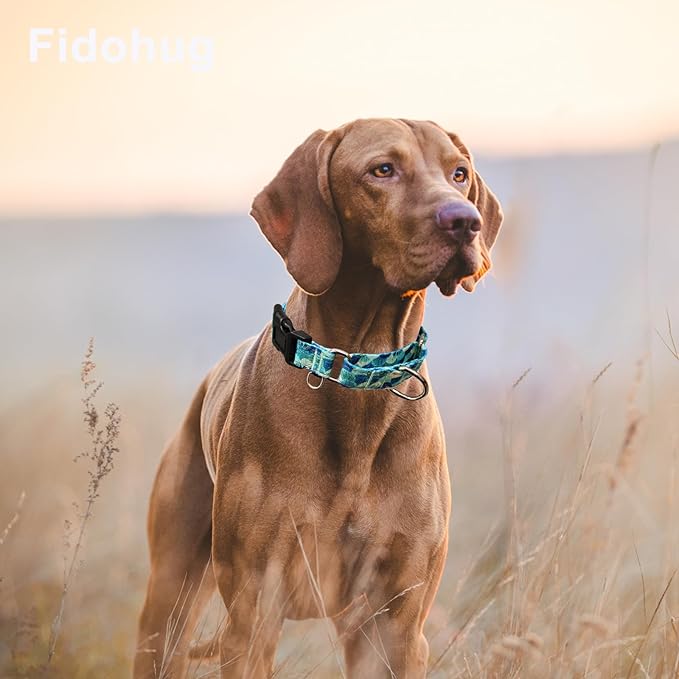 Reflective Martingale Collar with Buckle Adjustable Nylon Training Pet Collars for Medium Dogs (Turquoise Shell, M)