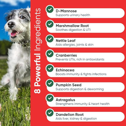 iHeartDogs Extra Strength Urinary, Bladder, & Kidney Support for Dogs – Cranberry, D-Mannose & Echinacea Helps Maintain Urinary Tract Health, Strengthens Weak & Incontinent Bladder