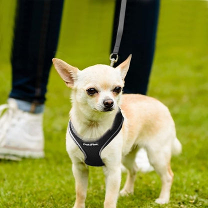 PetiFine Step in Small Dog Harness and Leash Set, Breathable All Weather Air Mesh Reflective Escape Proof, Step-in Vest Harnesses for Puppy(XS, Black)
