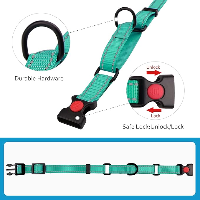 Martingale Dog Collar and Leash Set Martingale Collars for Dogs Reflective Martingale Collar for Small Medium Large Dogs(Mint Green&L)