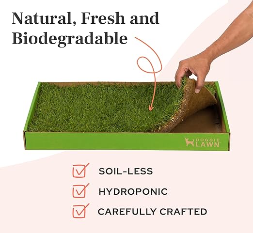 DoggieLawn Real Grass Puppy Pee Pads- 24 x 9 Inches - Perfect Indoor Litter Box for Dogs - No Mess, Easy-to-Use - Potty Training for Pets - Eco-Friendly Disposable Bathroom with Real Living Grass