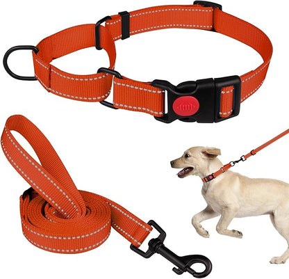 Martingale Dog Collar and Leash Set Martingale Collars for Dogs Reflective Martingale Collar for Small Medium Large Dogs(Orange&S)