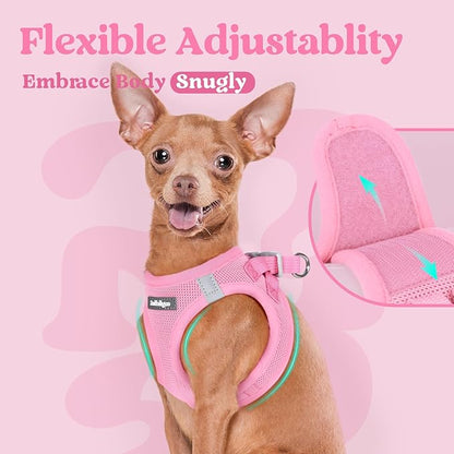 rabbitgoo Small Dog Harness, Step-in Soft Mesh Puppy Vest with Safety Buckle, Breathable Reflective Pet Harness for Large Dogs, Light Pink XXL