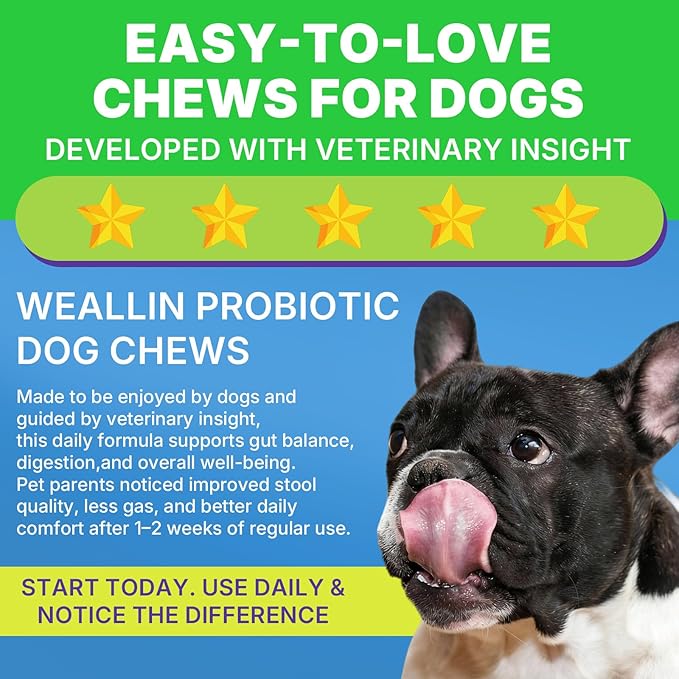200 PCS Probiotics for Dogs - Dog Probiotic Chews for Gut Health, Digestive Support & Itchy Skin Relief Pet Diarrhea Gas Treatment - Probiotics, Digestive Enzymes, Prebiotics, Pumpkin