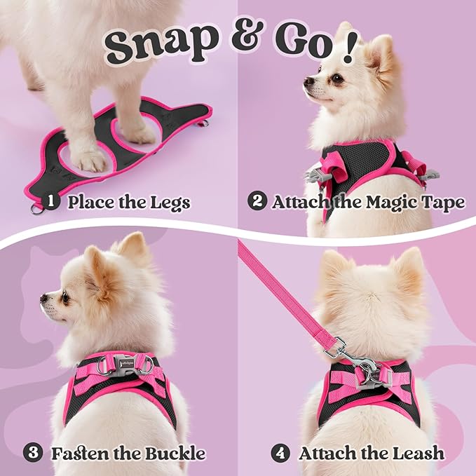 rabbitgoo Dog Harness Small Sized and Leash Set, Step-in Breathable Pet Harness, Soft Walking Reflective Puppy Vest for Small Dogs, Black & Rose Red, M