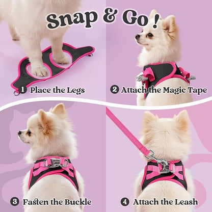 rabbitgoo Dog Harness Small Sized and Leash Set, Step-in Breathable Pet Harness, Soft Walking Reflective Puppy Vest for Small Dogs, Black & Rose Red, M