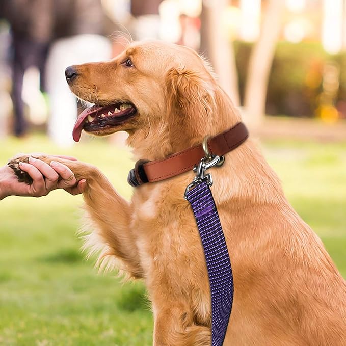 Hi Kiss Dog/Puppy Obedience Recall Training Agility Lead - 15ft 20ft 30ft 50ft 100ft Training Leash - Great for Training, Play, Camping, or Backyard(100ft,Black_Purple)