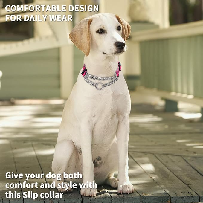 Martingale Dog Collar with Stainless Steel Chain - Limited Chain Cinch Training Collar for No Pull Training Dog - Flower Multicolor Cute Patterns - Premium No Slip Collar (HA12NO9, S)