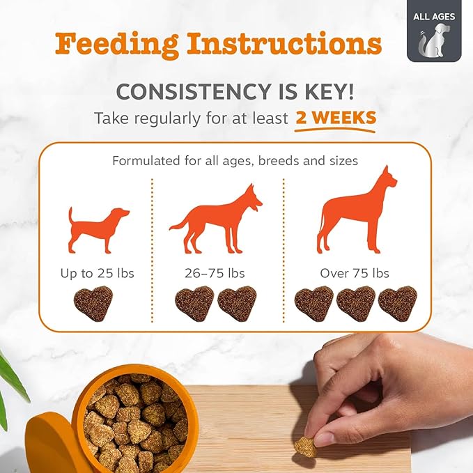 Zesty Paws Vet Strength Allergy Immune Bites - Dog Allergy Chews, Dog Probiotics for Itchy Skin and Ears, Smoked Cheese, 90ct