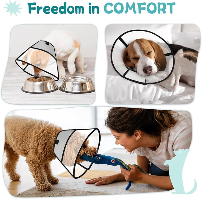 Dog Cone Collar After Surgery to Stop Licking, with Soft Waterproof Liner, Transparent PVC, for Large Medium Dogs, Elizabeth Neck Recovery Collar ALtermative(L,Grey)