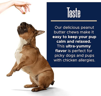 Healthy Pup Calming Chews for Dogs with Melatonin - 60 Delicious Soft Treats for Dog Anxiety Relief for Large and Small Dogs - Peanut Butter Flavor - Includes Chamomile, Thiamine, L-Tryptophan