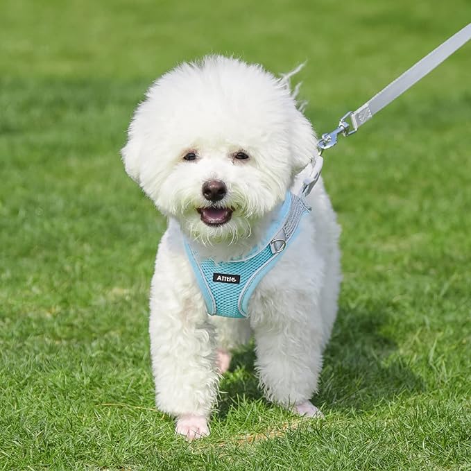 AIITLE Easy Walk Dog Harness and Leash Set - Pet Supply No Pull, Step in Adjustable Dog Harness with Padded Vest, Dog Harness No Choke Over, Easy to Put on Medium Dogs Blue L