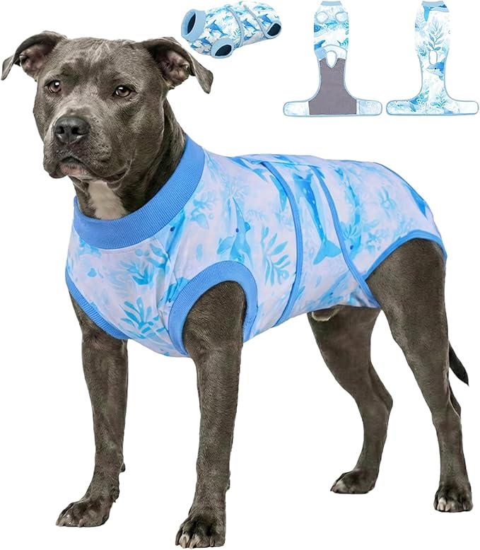 PetWarm Recovery Suit for Dogs, Surgical Suit for Dogs Female Spay Male Neutered, After Surgery Dog Onesie, Anti-Licking Dog Surgery Recovery Suit, Marine Animal Patterns, Blue, 2XL