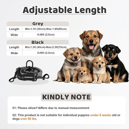 Double Dog Leash - 360°Swivel Tangle Free Splitter Attachment, 2 Dogs Multi-Functional Leashes, Dual Rope for Outdoor Walk Train Small Medium Large Two Pet, Grey