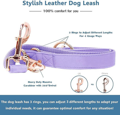Soft Leather Dog Collar and Leash (6.6') Set - Stylish Rose Gold Heavy Duty Metal Buckle, 4 Adjustable Lengths Leash for Small Medium Large Dogs - Comfortable & Easy to Clean (M, Light Purple)