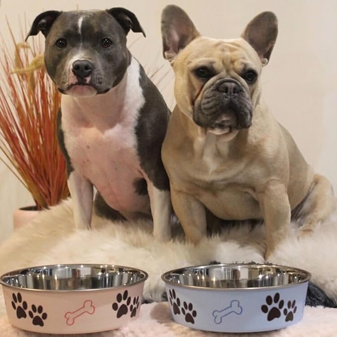 Loving Pets Bella Dog Bowls- Stainless Steel Dog & Cat Bowls - Spill Proof Dog Food Bowl, Cat Bowl, Puppy Essentials & Pet Supplies Great for Home & Travel (X-Large 65-100lbs, Paparazzi Pink)