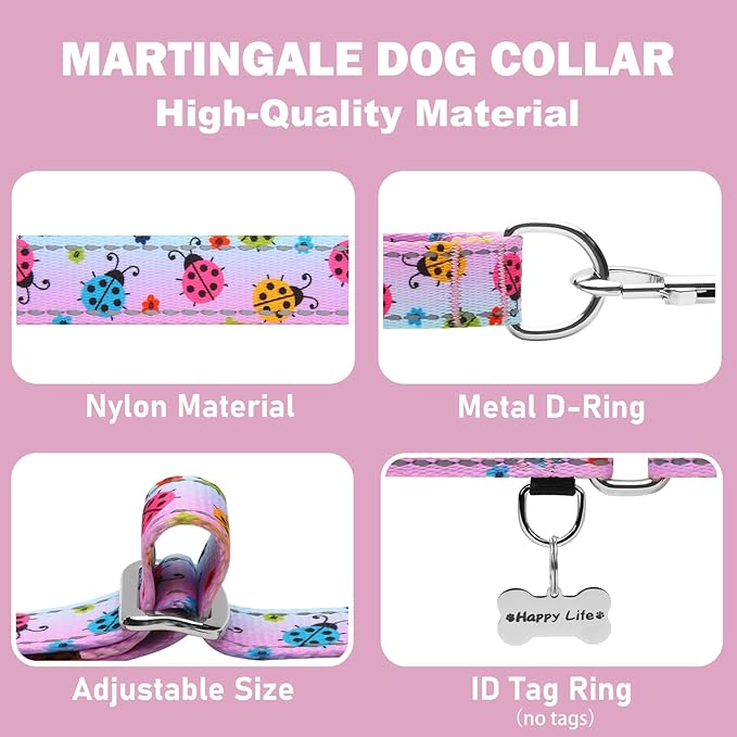 Reflective Martingale Collar for Dogs Nylon Training Collar with No Buckle, No Pull Adjustable Dog Collar for Small Dogs（Gradient Ladybug，S）