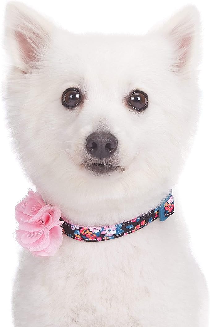 Blueberry Pet Made Well Elegant Floral Print Adjustable Dog Collar in Sleek Black with Pink Artificial Silk Flower, Medium, Neck 14.5"-20"