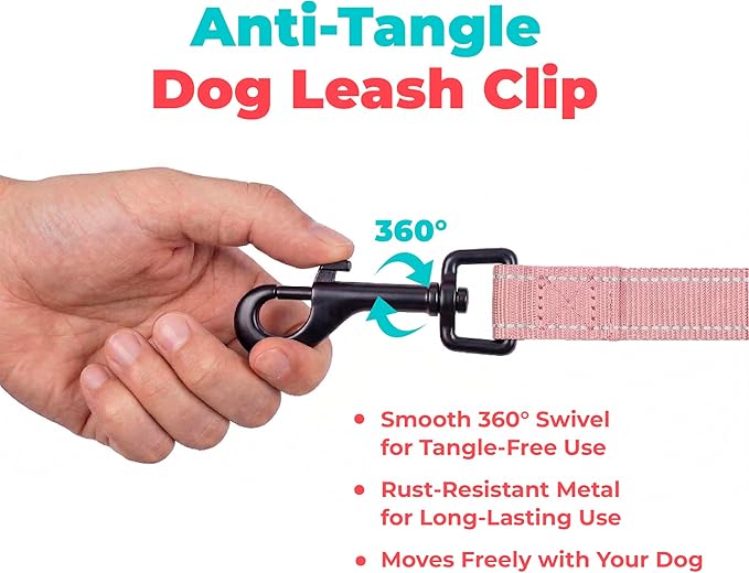 Best Pet Supplies Voyager Reflective Dog Leash or Collar with Neoprene Handle, for Small, Medium, and Large Breed Puppies, Cute and Heavy Duty for Walking, Running and Training - Pink (Leash), S