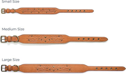 Blueberry Pet Premium Embossed Silver-Powered Freshness Microfiber Suede Leather Dog Collar in Saddle Brown
