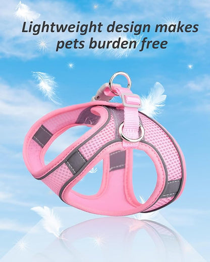 Solmoony Dog Harness for Small Medium Dogs No Pull, Puppy Harness and Leash Set, Puppy Harness, Step in Harness for Small Dogs, mesh Dog Harness. (Bule, M)