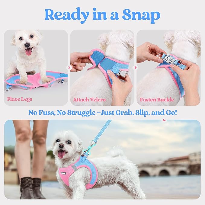 rabbitgoo Dog Harness Medium Sized and Leash Set, Step in Soft Light Puppy Vest, Breathable Mesh Pet Harness, Reflective for Safe Easy Walking, Blue & Light Pink XXL